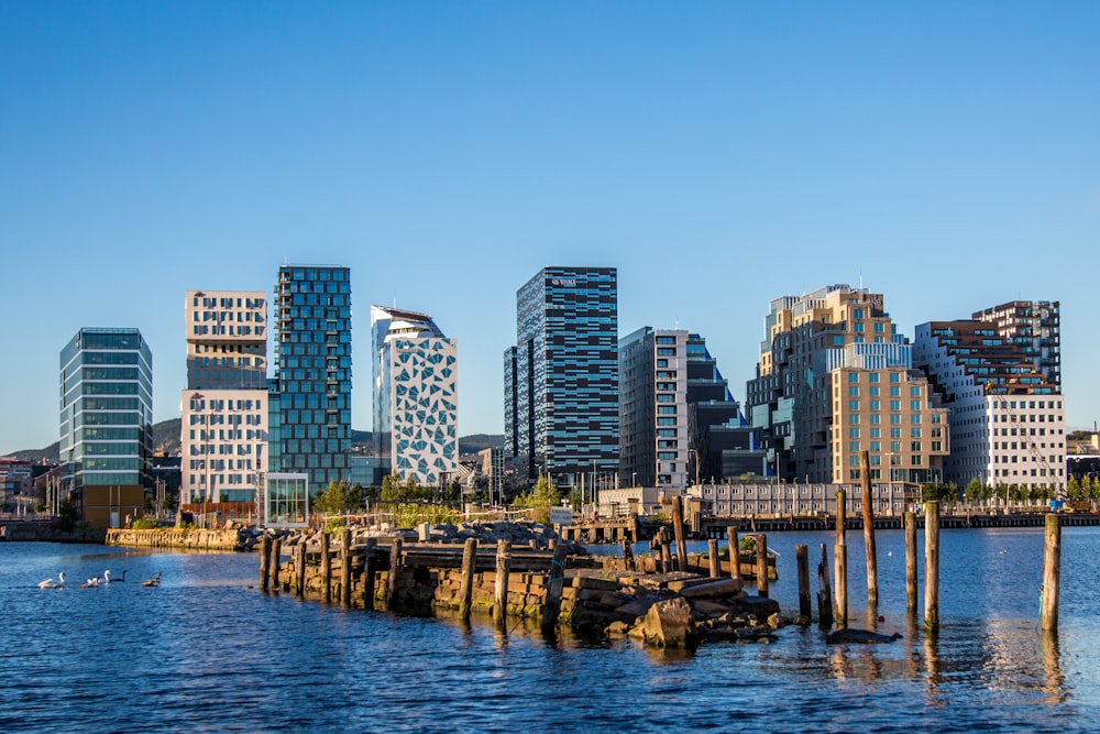 body of water near city buildings during daytime