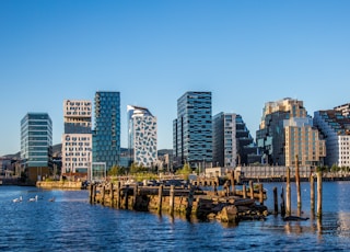 body of water near city buildings during daytime