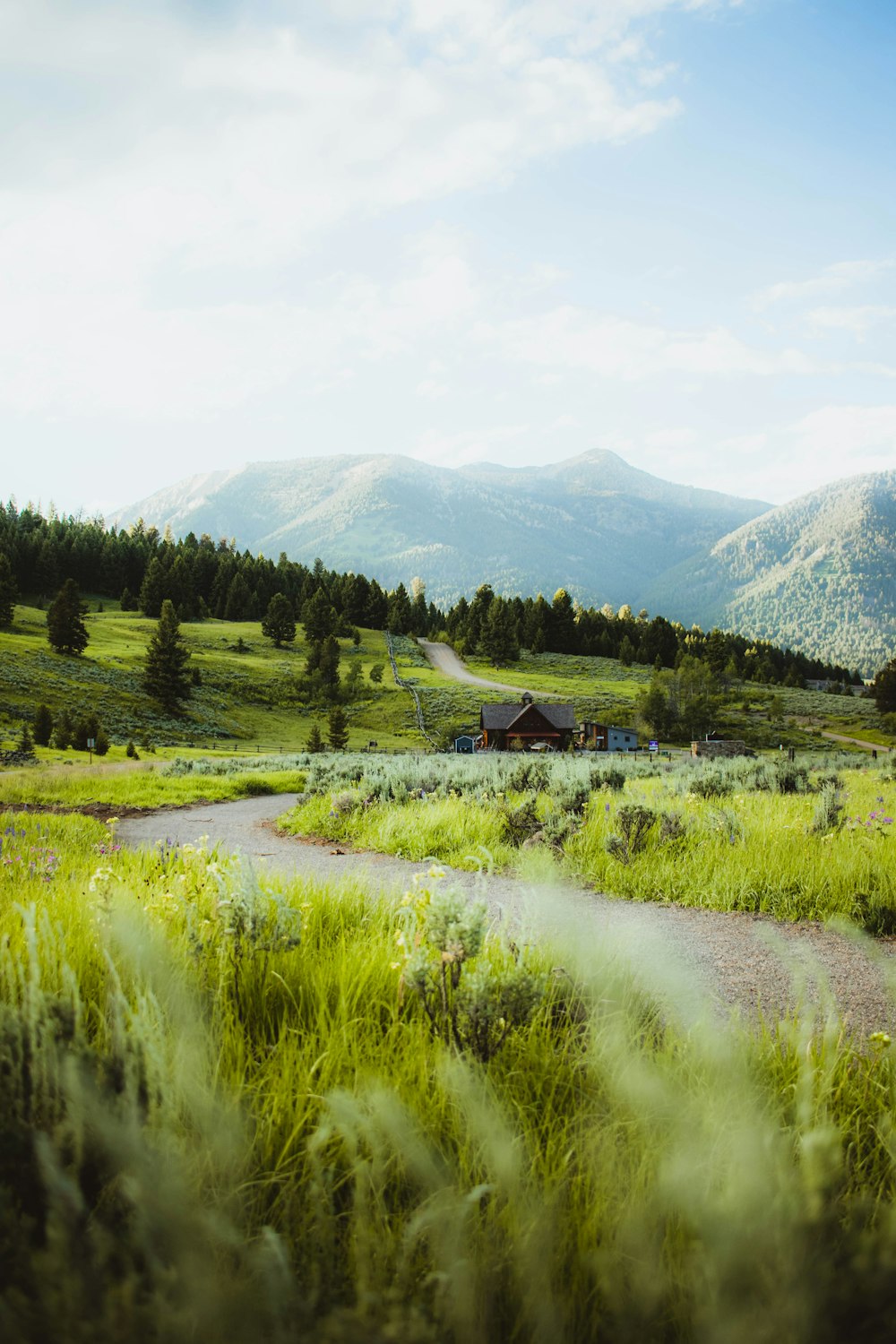 green grass field near green mountains during daytime