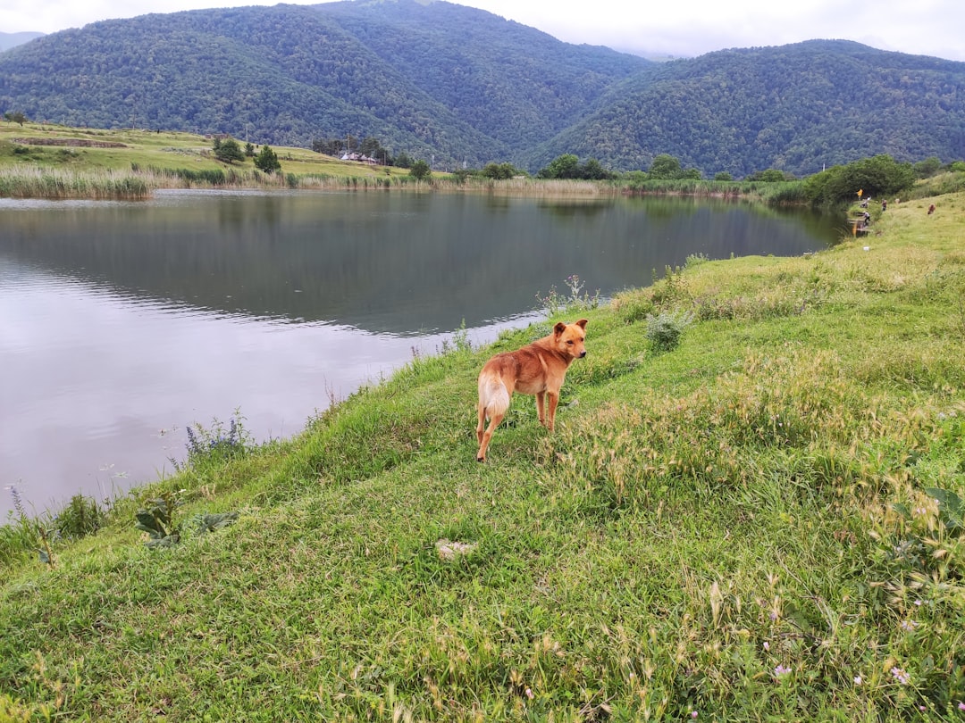 Ecoregion photo spot Aygut Armenia