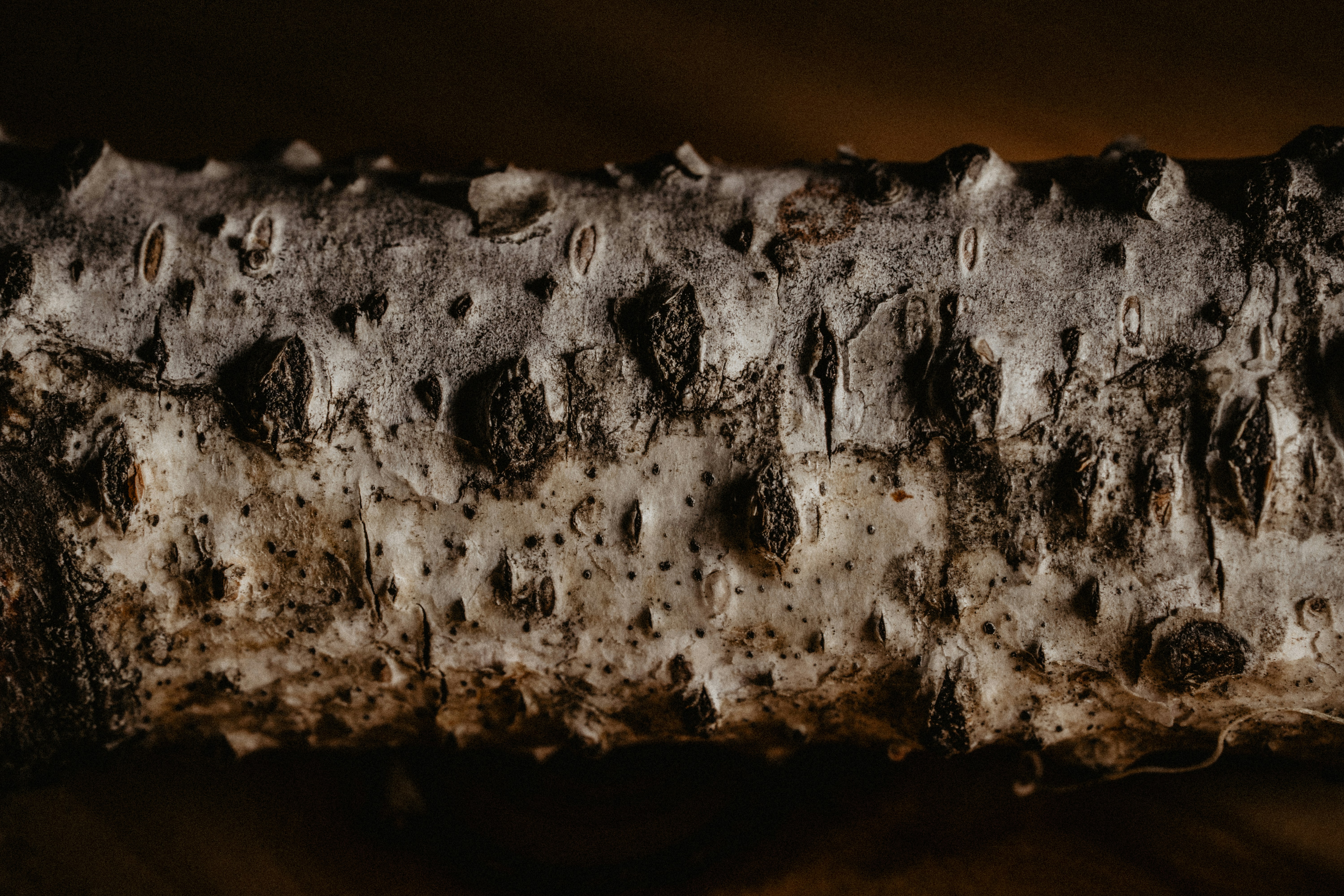 Corroded pipe to illustrate the effects of salt and humidity - plumbing repair fort myers beach fl