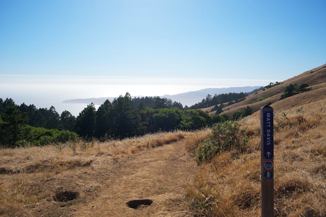 Hill photo spot Stinson Beach Golden Gate Bridge