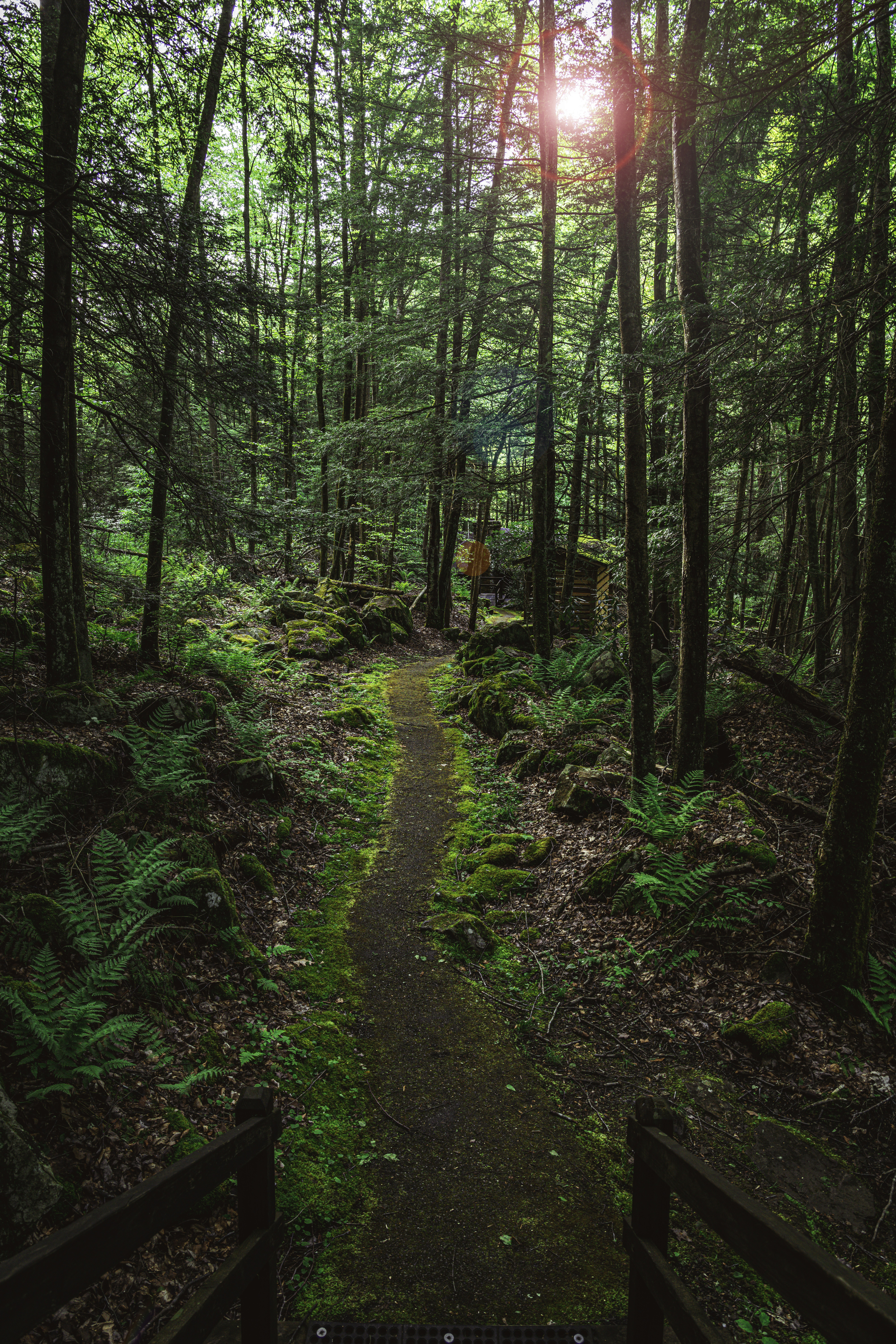 Photo by vasupendyalaa