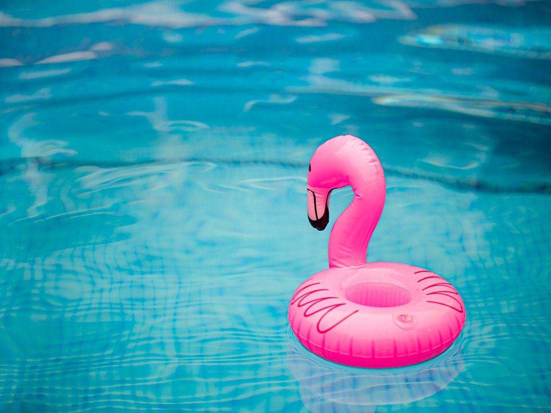 pink inflatable flamingo on water