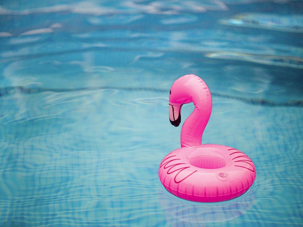 Rosa aufblasbarer Flamingo auf Wasser