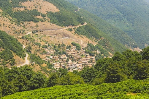 A lush, green landscape with a small village nestled on a hillside. The village consists of tightly packed, traditional stone houses, surrounded by verdant forests. Winding roads traverse the slopes, creating a sense of depth and scale. The area is characterized by a mix of dense forestation and dry, open ground.