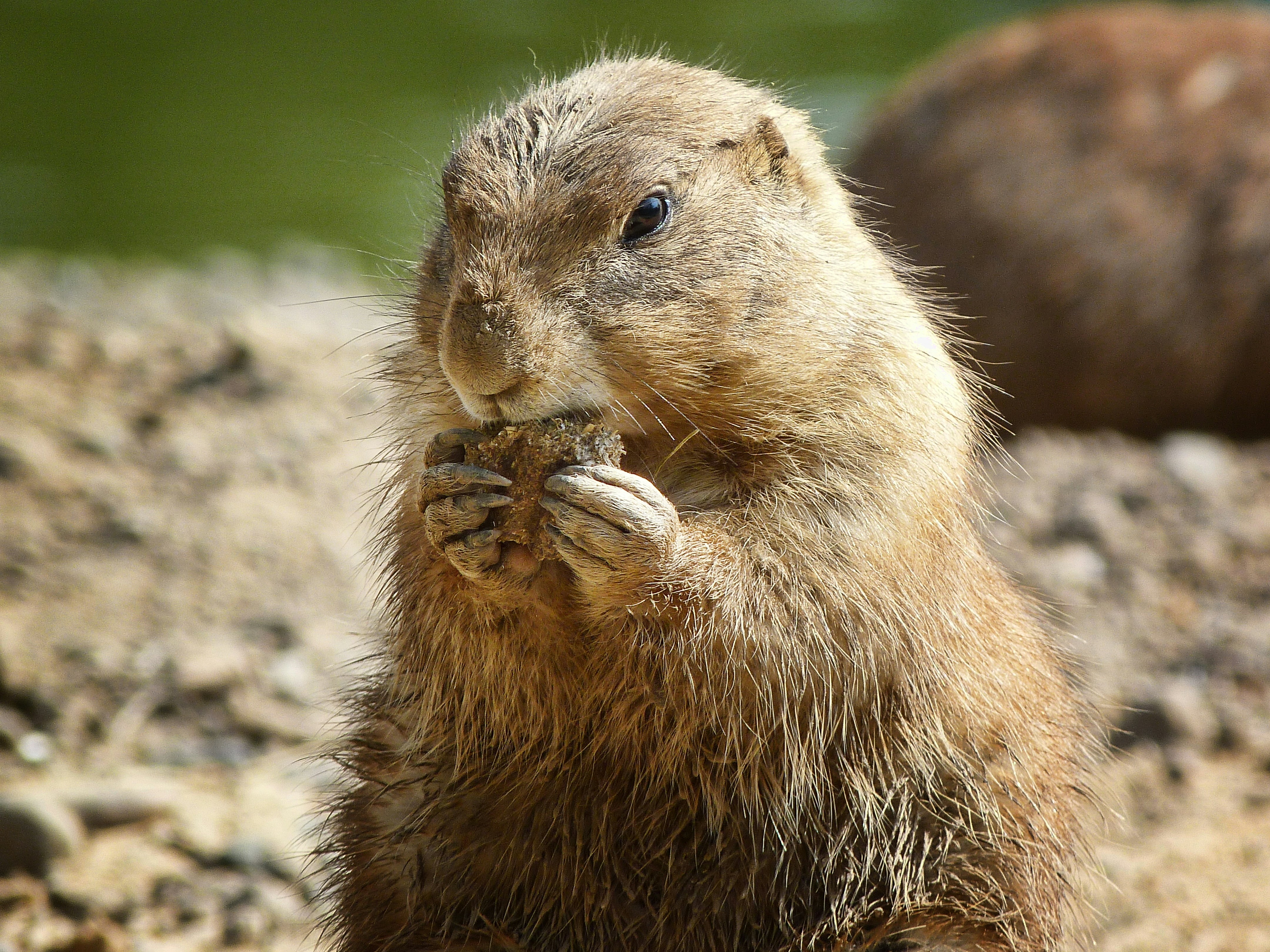 Photo by pikuserukukku