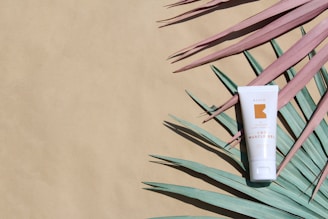A tube of CBD muscle gel is placed on a flat surface, surrounded by teal and pink palm leaves arranged artistically. The background is a light beige color, providing contrast to the green and pink shades of the palm leaves.