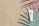A tube of CBD muscle gel is placed on a flat surface, surrounded by teal and pink palm leaves arranged artistically. The background is a light beige color, providing contrast to the green and pink shades of the palm leaves.