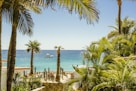 palm trees near body of water during daytime