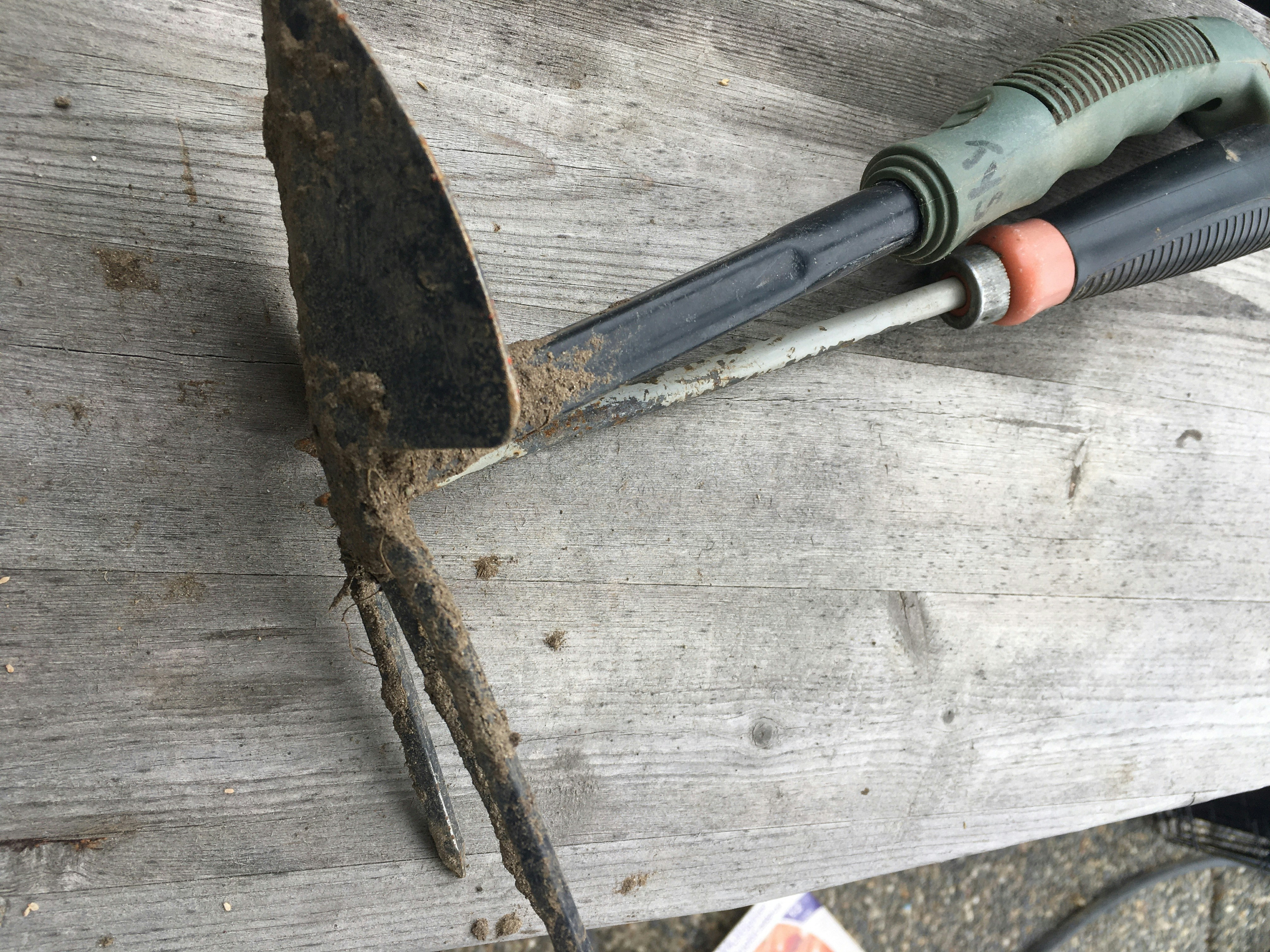 photo 1594327461555 7d2c89526907?ixlib=rb 4.0