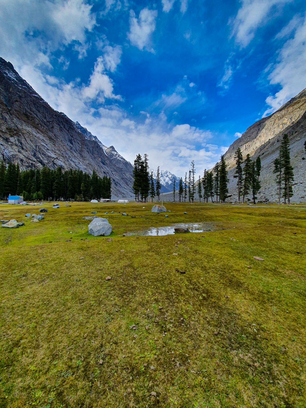 green grass field near mountain under blue sky during daytime