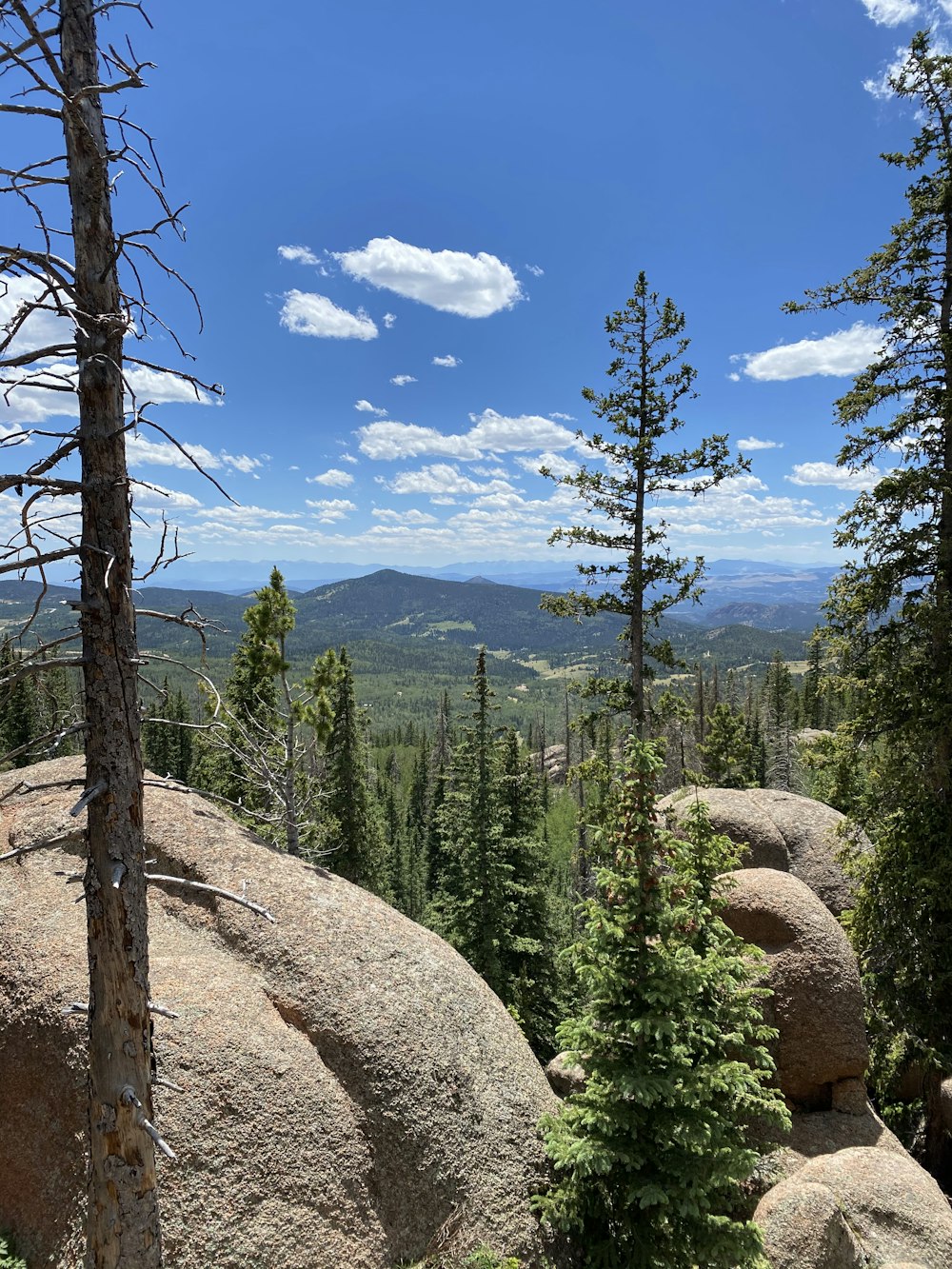 green trees and brown mountain under blue sky during daytime