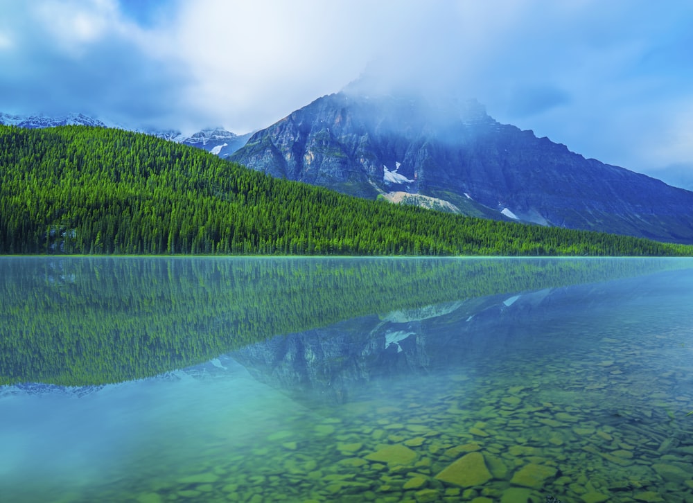 green pine trees near lake and mountain under blue sky during daytime