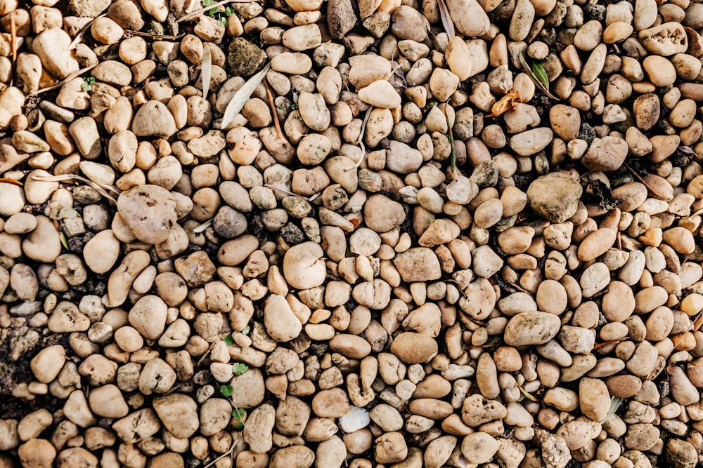 brown and white stones on ground