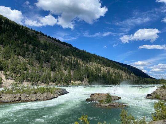 green trees near river under blue sky during daytime in Kootenai Falls United States