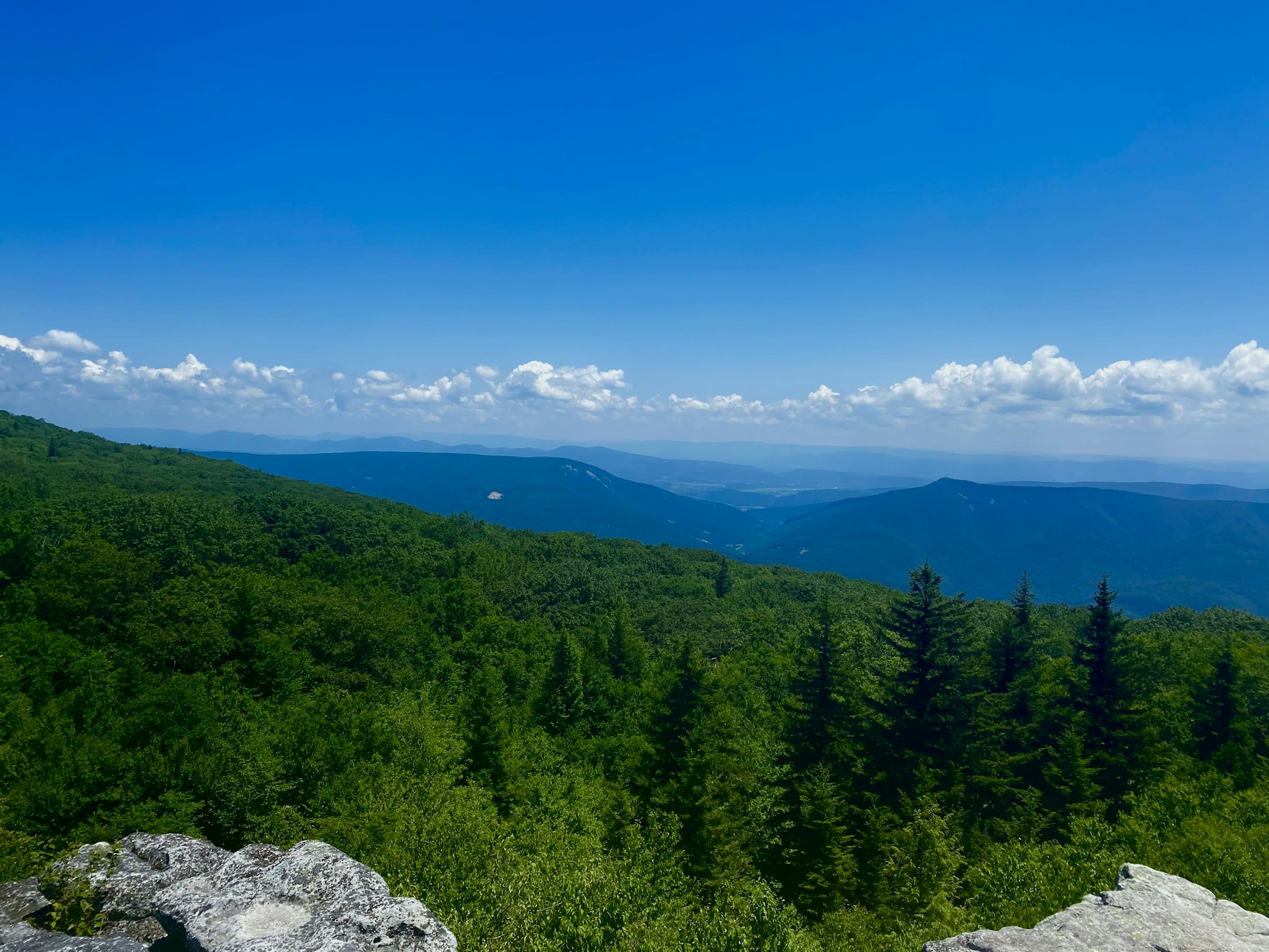 Monongahela National Forest image