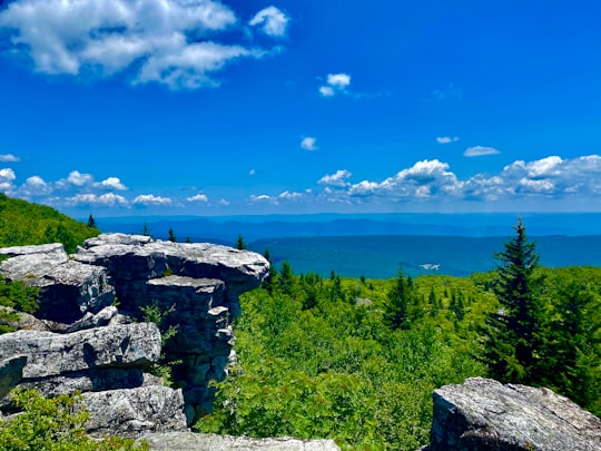Dolly Sods things to do in deep