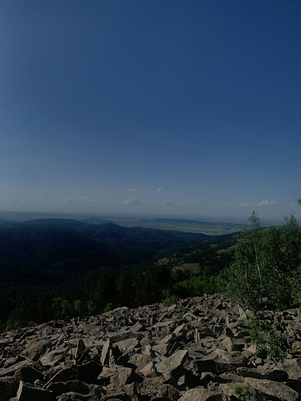 green trees on mountain under blue sky during daytime