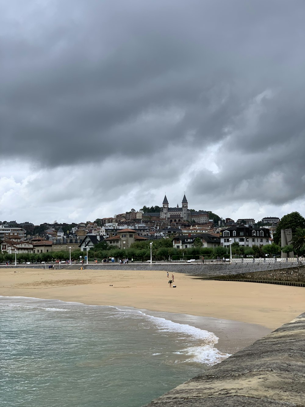 people on beach during daytime