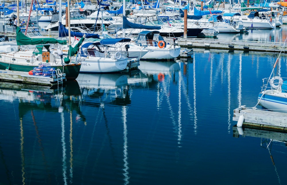 Barcos blancos y azules en el mar azul durante el día