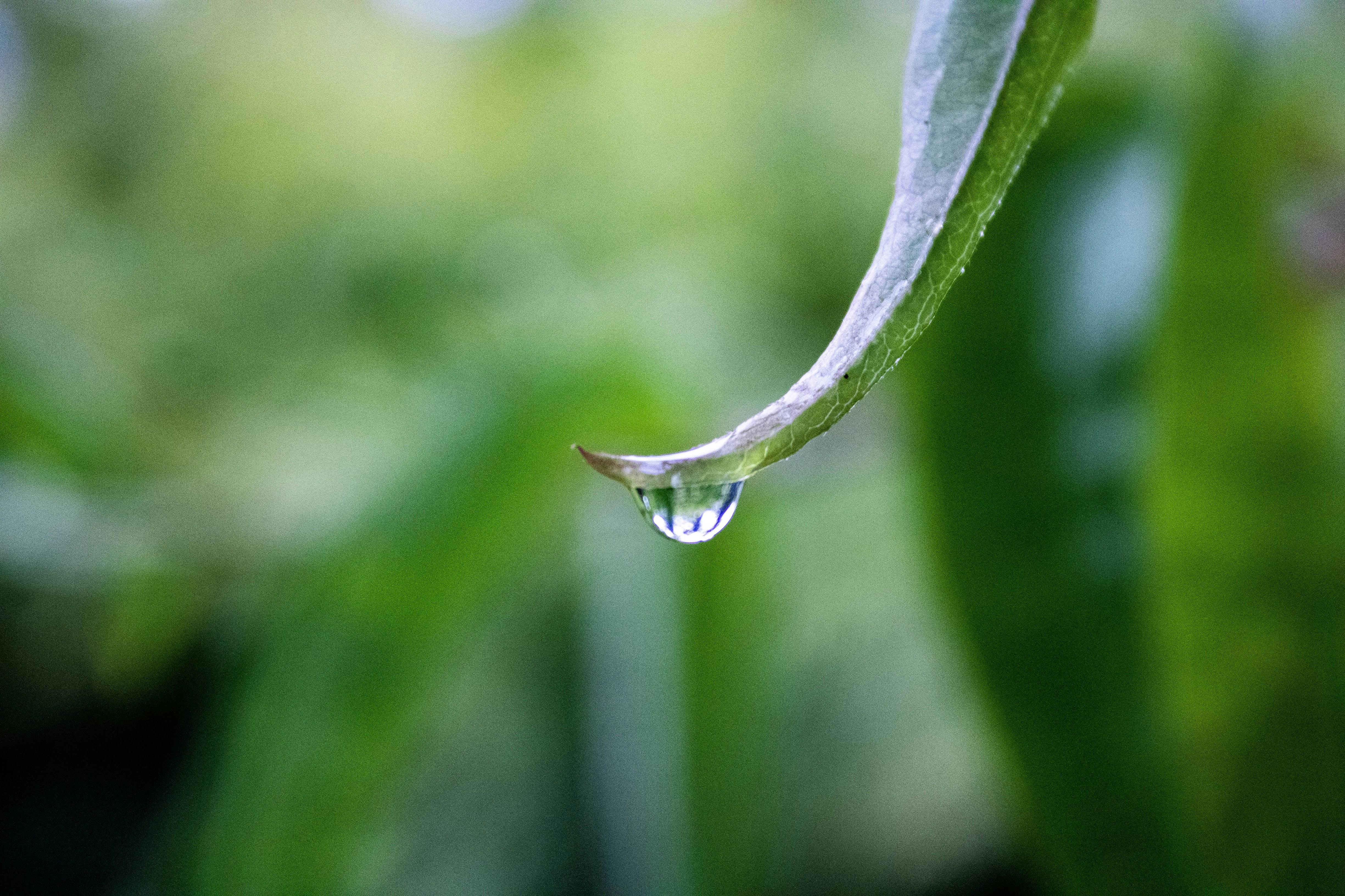 Photo by jeffersonsees