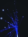 blue and white light in dark room