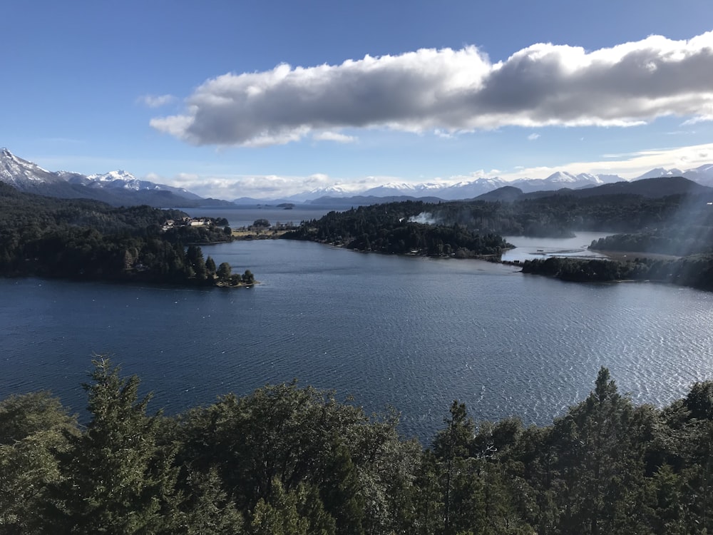 green trees near body of water under blue sky and white clouds during daytime