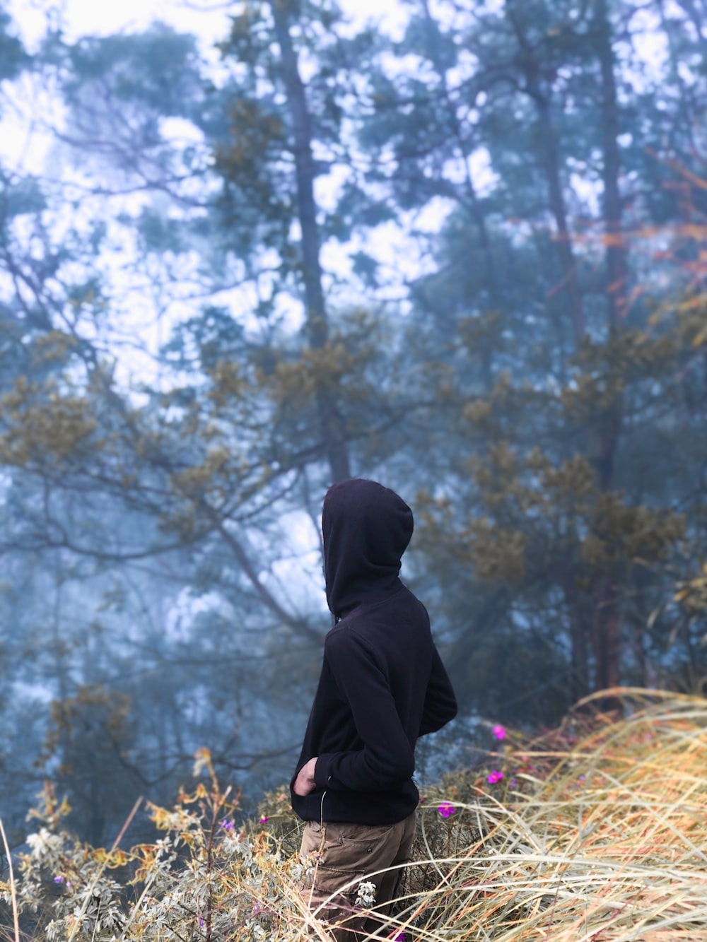 person in black hoodie standing near brown trees during daytime