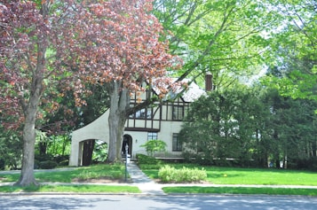 A Tudor-style house is nestled among lush greenery, with tall trees framing the residence. The facade features patterned wooden accents and a prominent gable. Bright sunshine illuminates the scene, highlighting the verdant lawn and foliage.