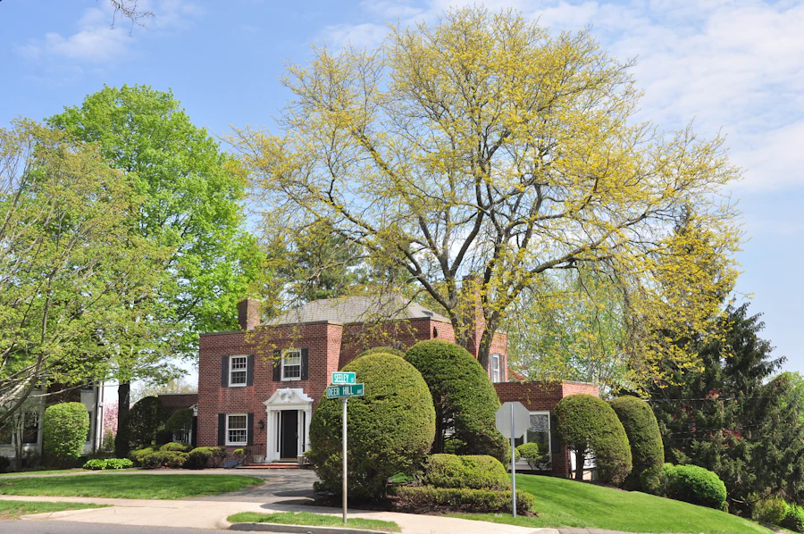 Historic brick house surrounded by mature trees