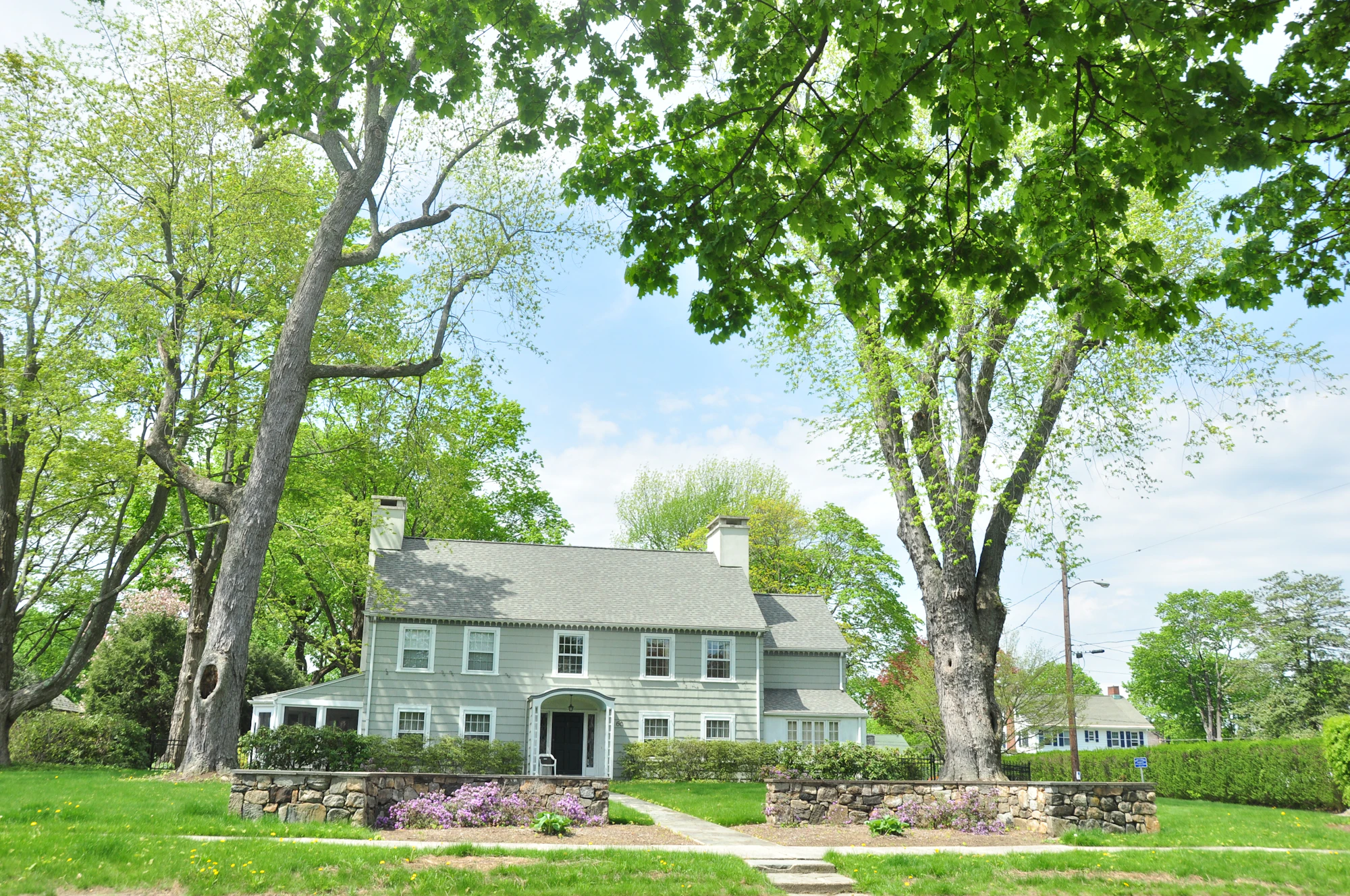 A colonial house among oaks in Danbury, Connecticut