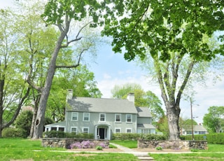 white and gray house near green trees during daytime