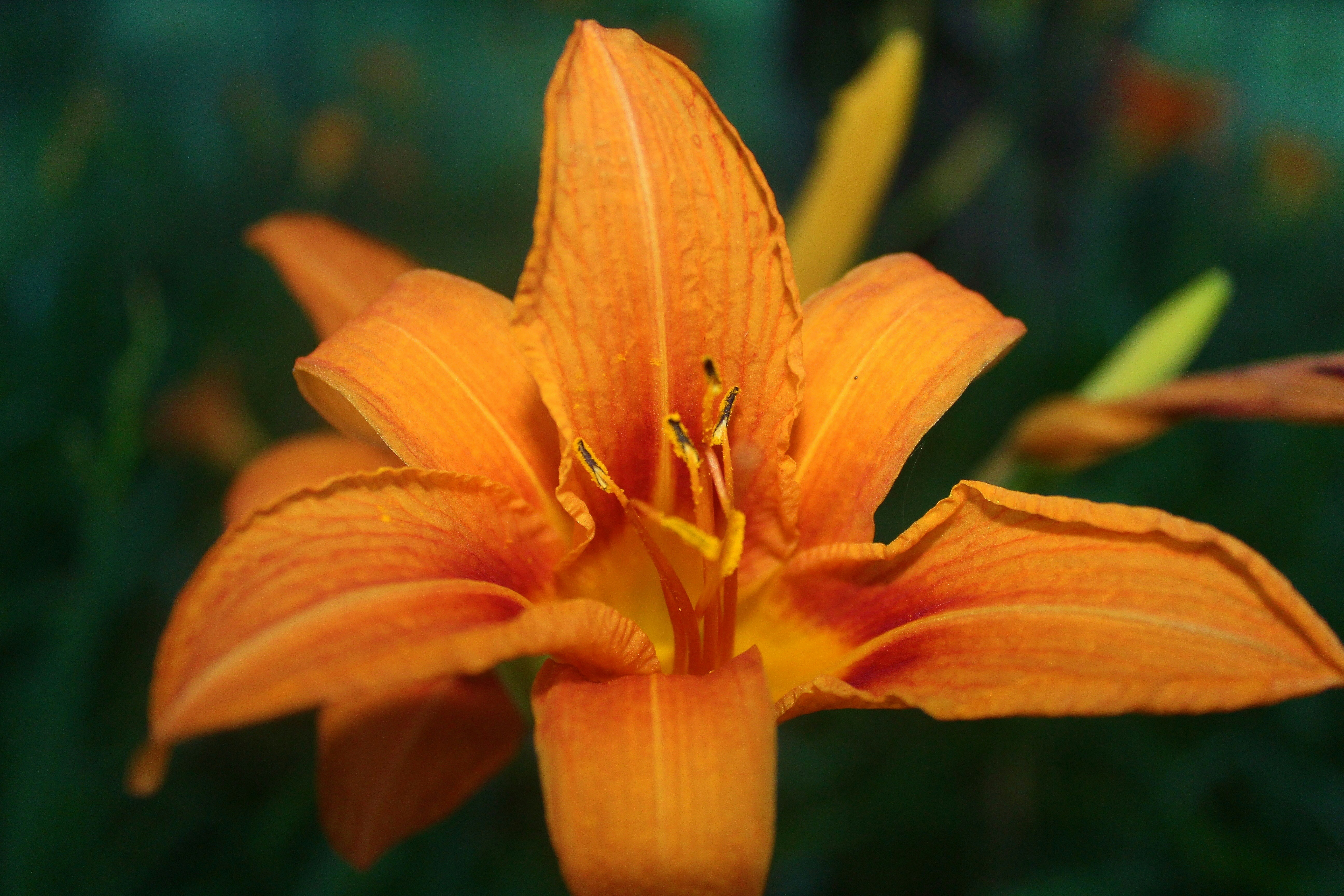 Photo by sarahclaeys212