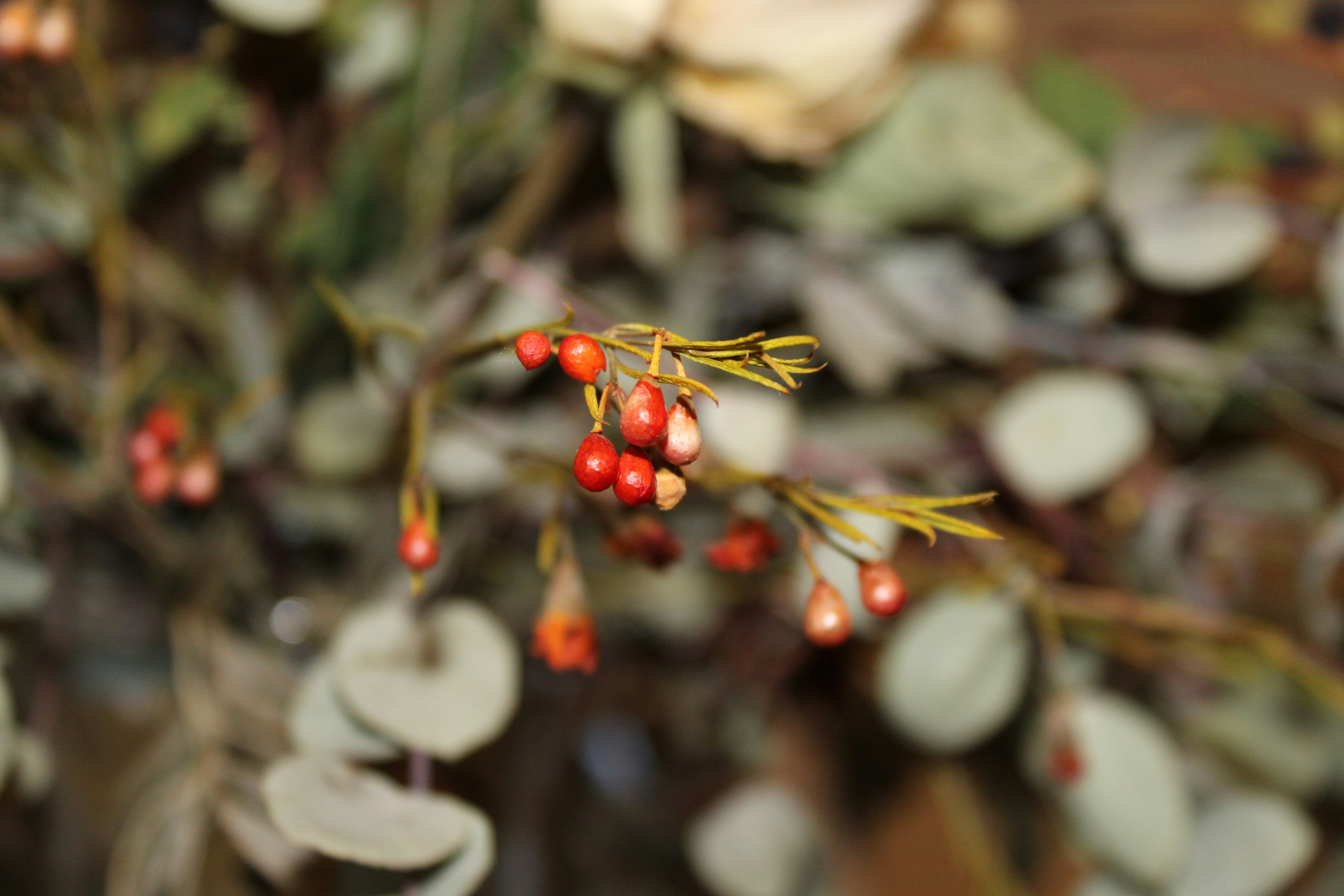 Photo by sarahclaeys212