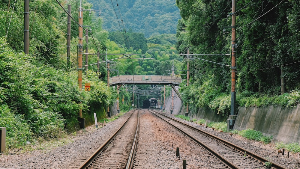 日中の緑の木々の近くの電車のレール