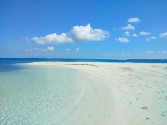 white sand beach under blue sky during daytime in Balabac Philippines