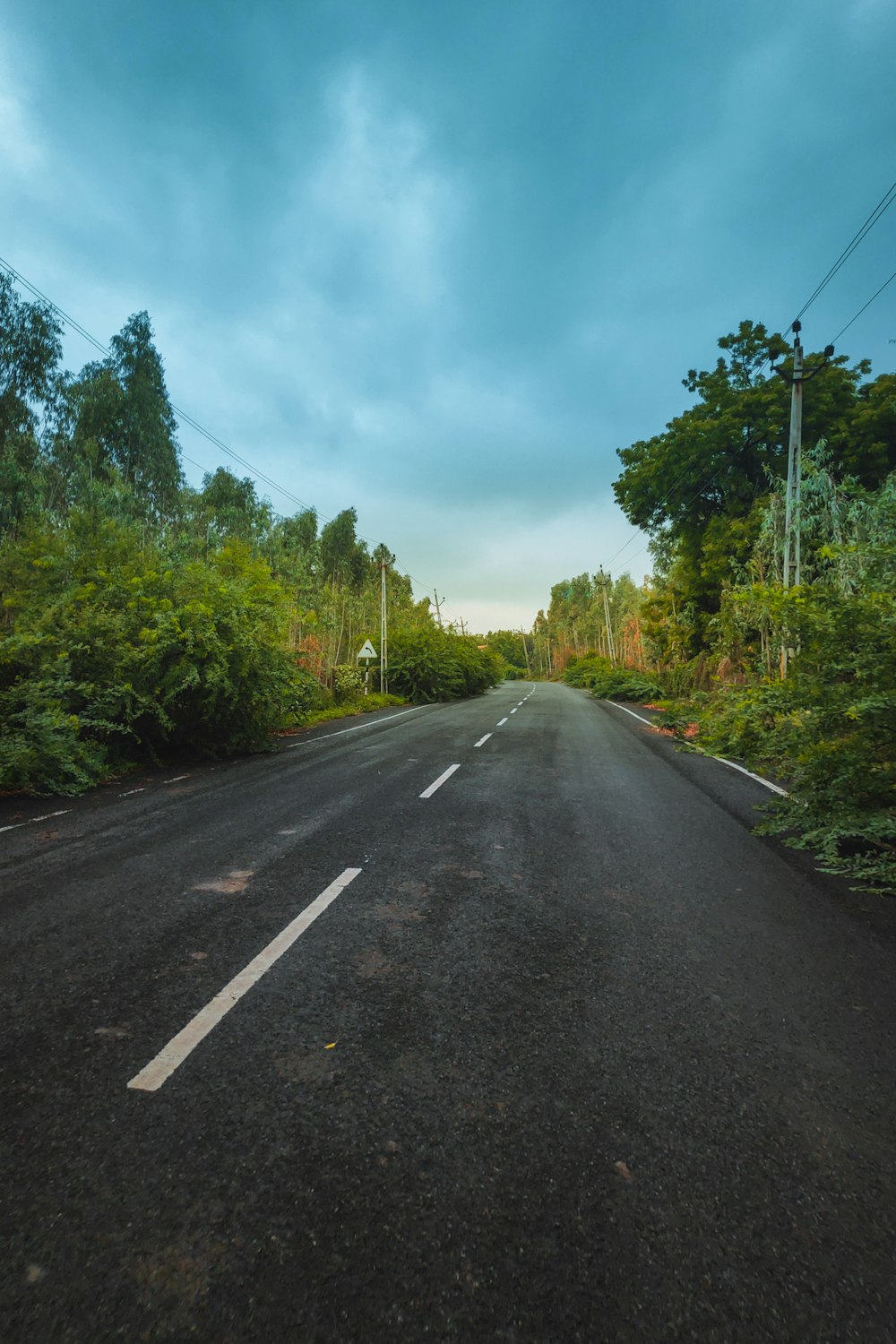 gray concrete road between green trees under blue sky during daytime