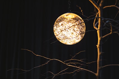 round brown ball hanging decor artificial tree google meet background
