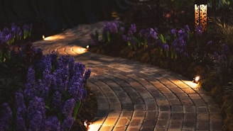 purple flowers on brown wooden table