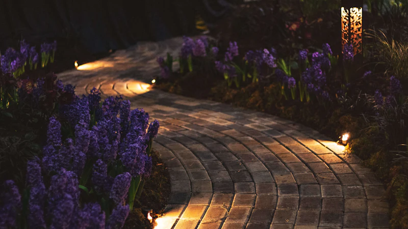 Low-voltage path lights and uplit pine along a paver walkway at night