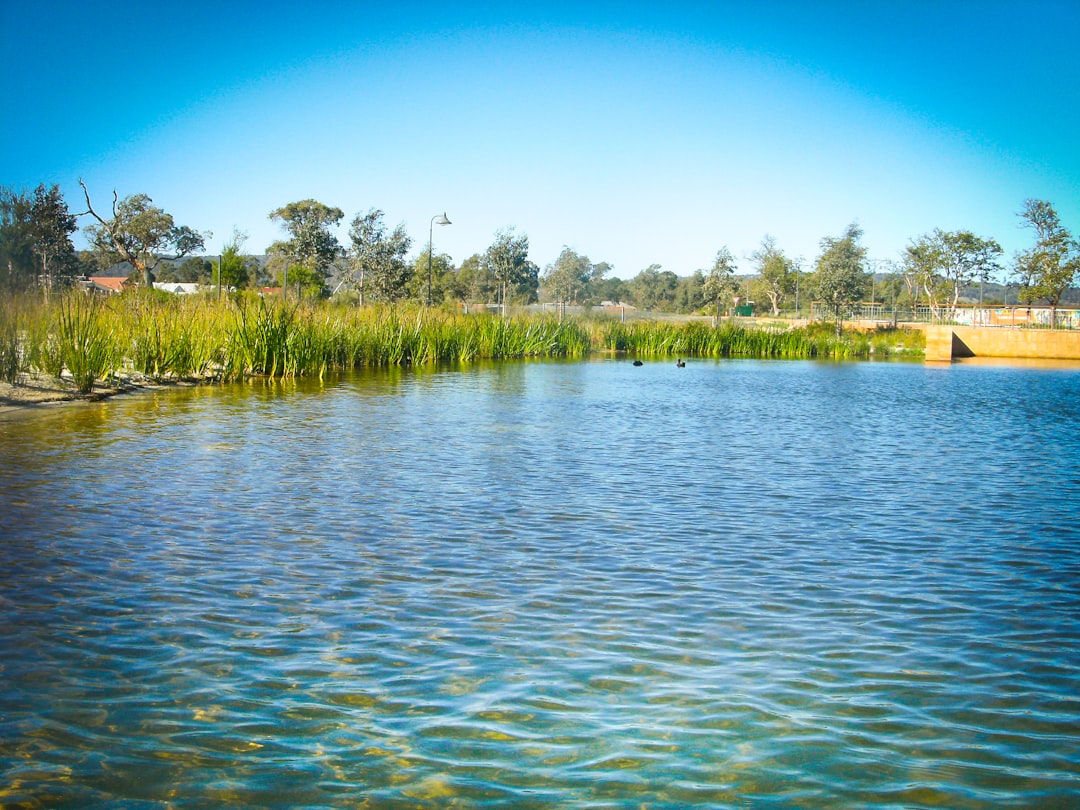 Nature reserve photo spot Byford WA Perth WA