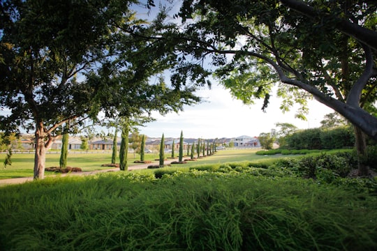 green grass field with trees during daytime in Darch WA Australia