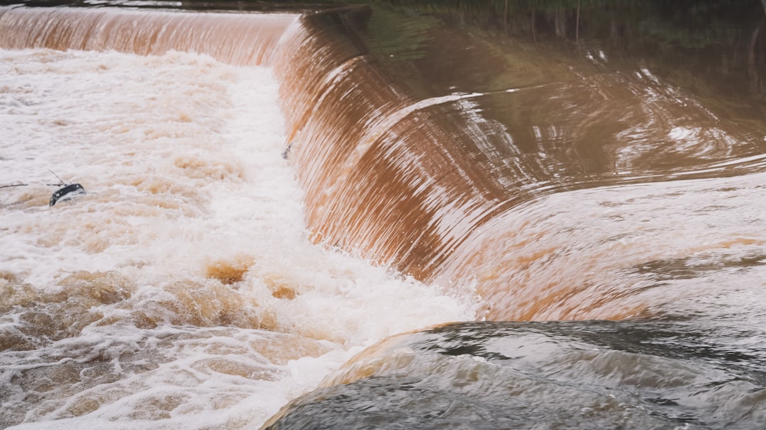 Travel Tips and Stories of Dights Falls Loop Trail in Australia