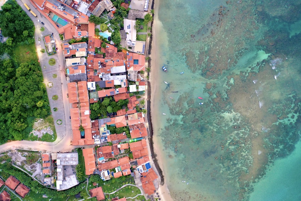 aerial view of city buildings near body of water during daytime