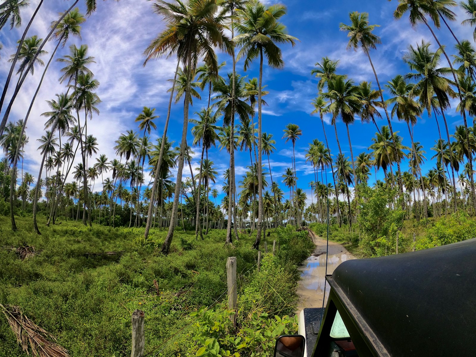 Off-road Jeep driving through lush tropical forest trail