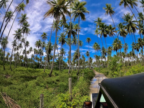 Jeep Safari