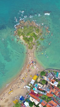 aerial view of beach during daytime