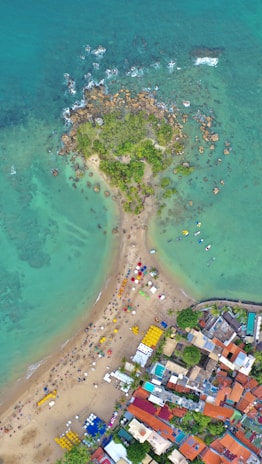 aerial view of beach during daytime