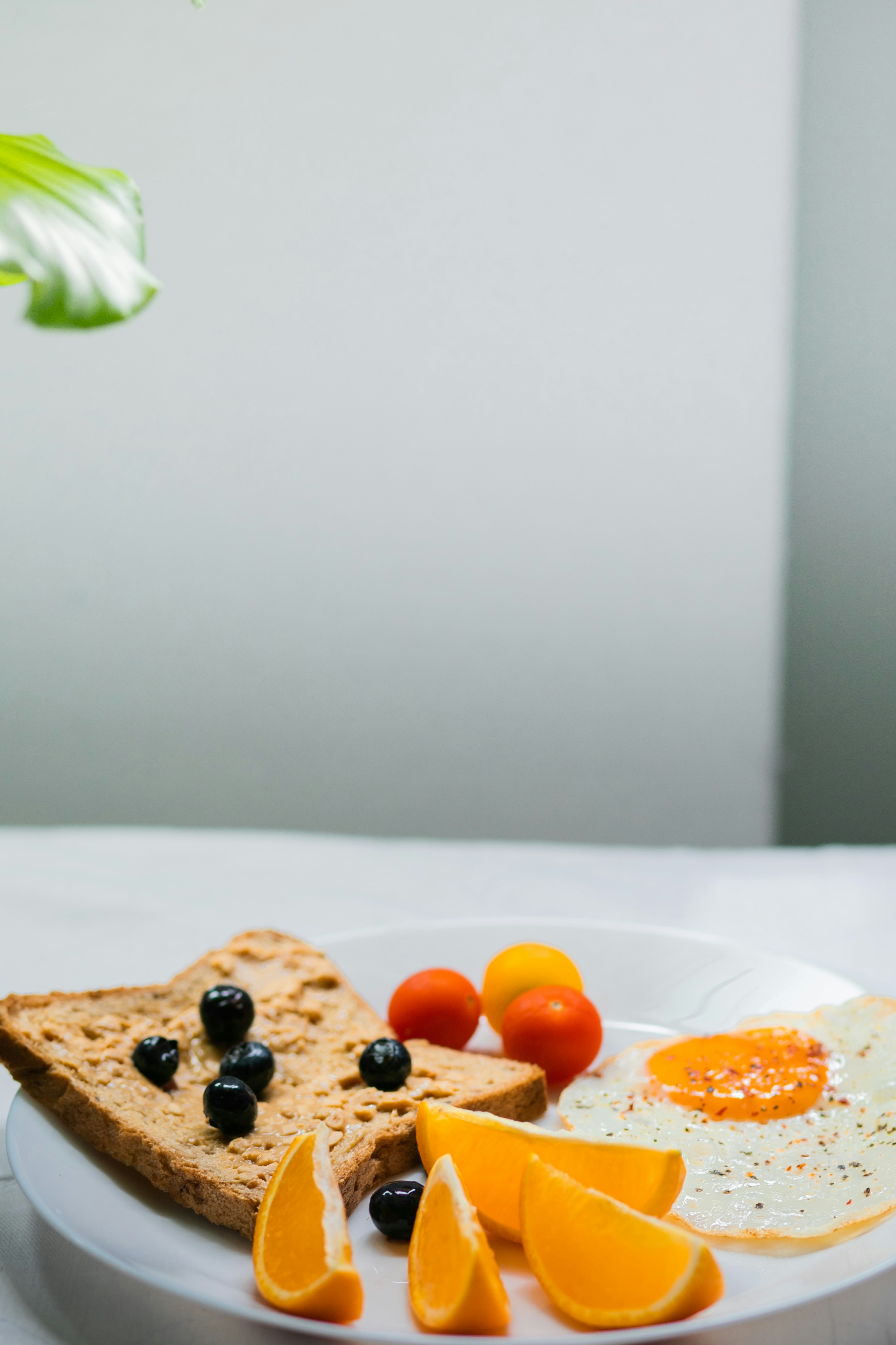 Photo by maahidphotos